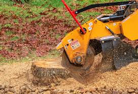Bradford, PA Tree Care Company